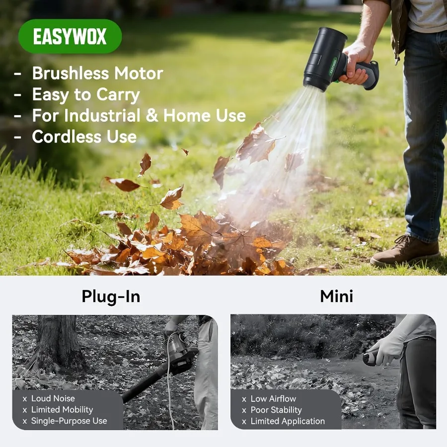 Sèche-cheveux électrique sans fil pour voiture, 756W, 1200G, Turbo, pour sécher les voitures, souffleur de feuilles, pour Patio, pelouse, Garage, neige, 8 × 300