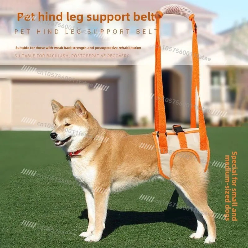 Pet Assistance with Hind Legs Older Dogs Disabled Postoperative Rehabilitation Exercise Hindlimb Paralysis Assistance with Cats