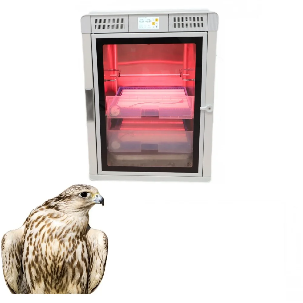 

Full Automatic Dual Power Quail Mini Incubator 56 Eggs Best Price with Auto Egg Thermometer Thermostat Heat Protector