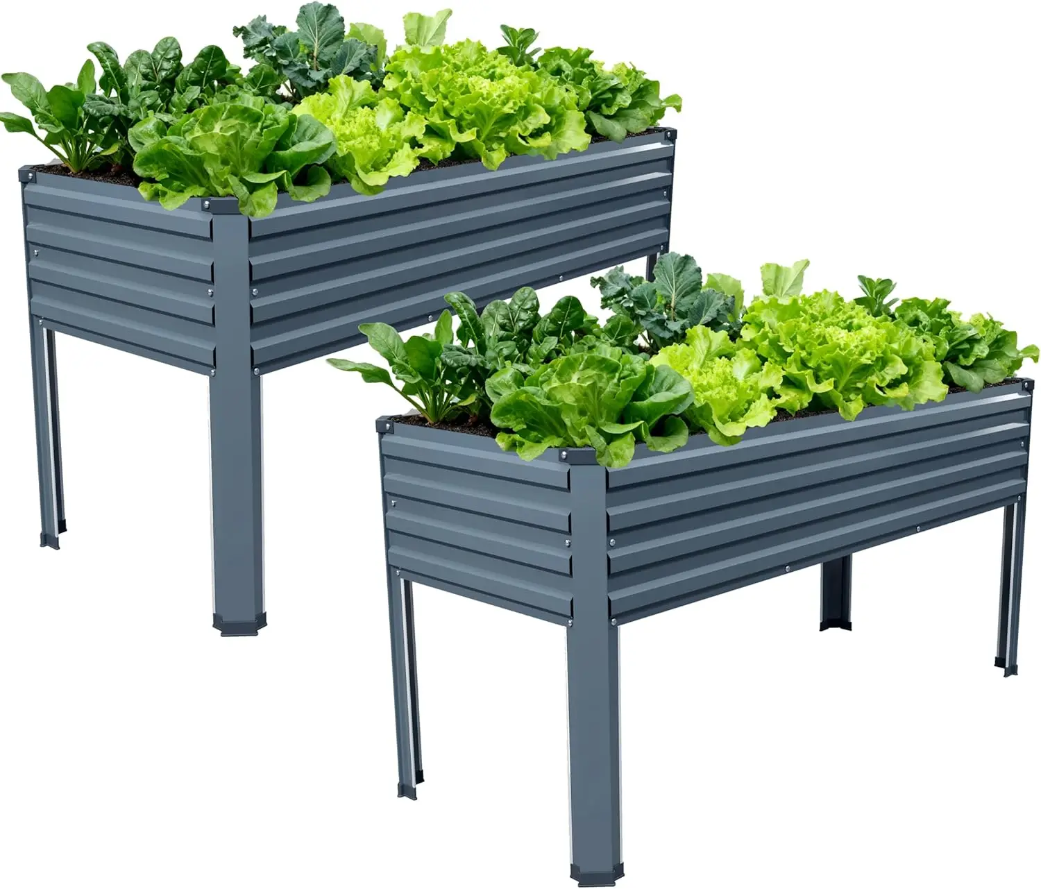 Galvanized Raised Garden Bed with Legs, 48x18x30in, 300lb Capacity, Grey (2PCS)