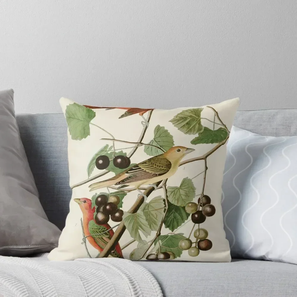 

Summer Red Bird - John James Audubon's Birds of America Print Throw Pillow Couch Cushions luxury sofa pillows pillow