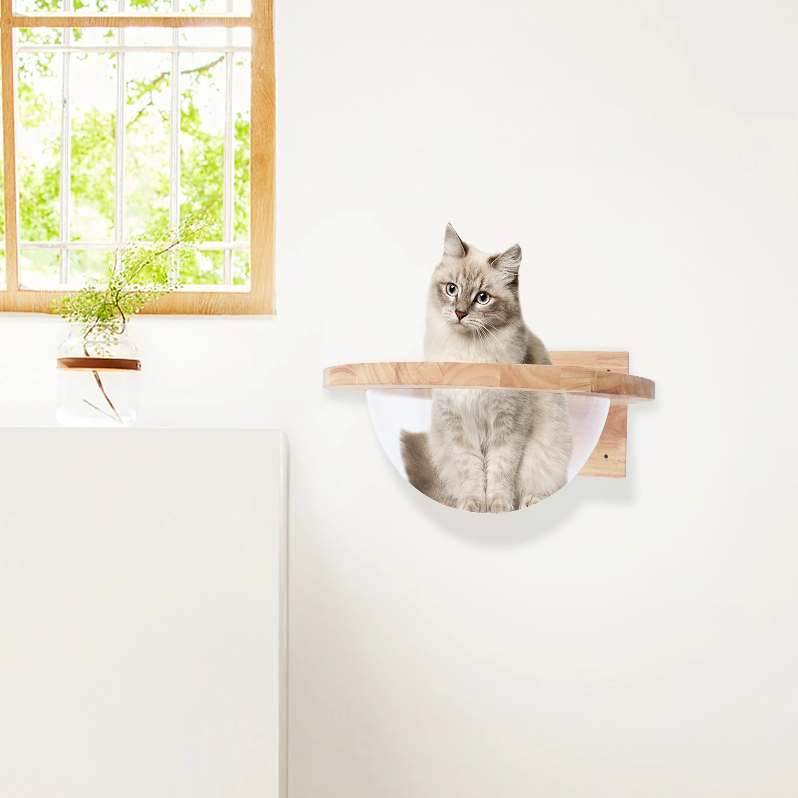 

Wall-Mounted Wooden Cat Space, Capsule-Style Transparent Cover Cat Wall Space, Small Pets Bed Cat Furniture, 44lb Load Capacity