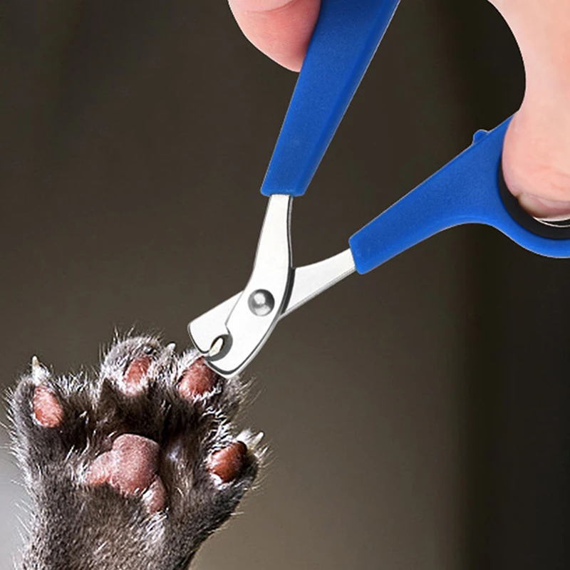 1 PC สแตนเลสสตีลสุนัขแมว Claw เล็บกรรไกรลูกสุนัข Clipper เล็บเครื่องตัด Trimmer PET Toe Grooming ผลิตภัณฑ์เล็บ Clippers