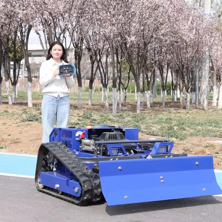 

Customized Small Electric Lawn Mower Cordless Rechargeable Lightweight Grass Cutter for Home Garden Yard Lawn Care