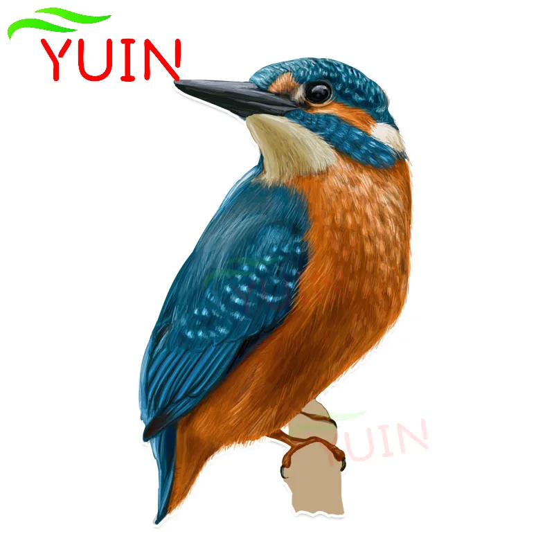 Car Stickers Coolest A Humming Bird Flight Animal Decal Cute PVC Bumper Decoration Accessories Color Waterproof Stickers 16*9cm