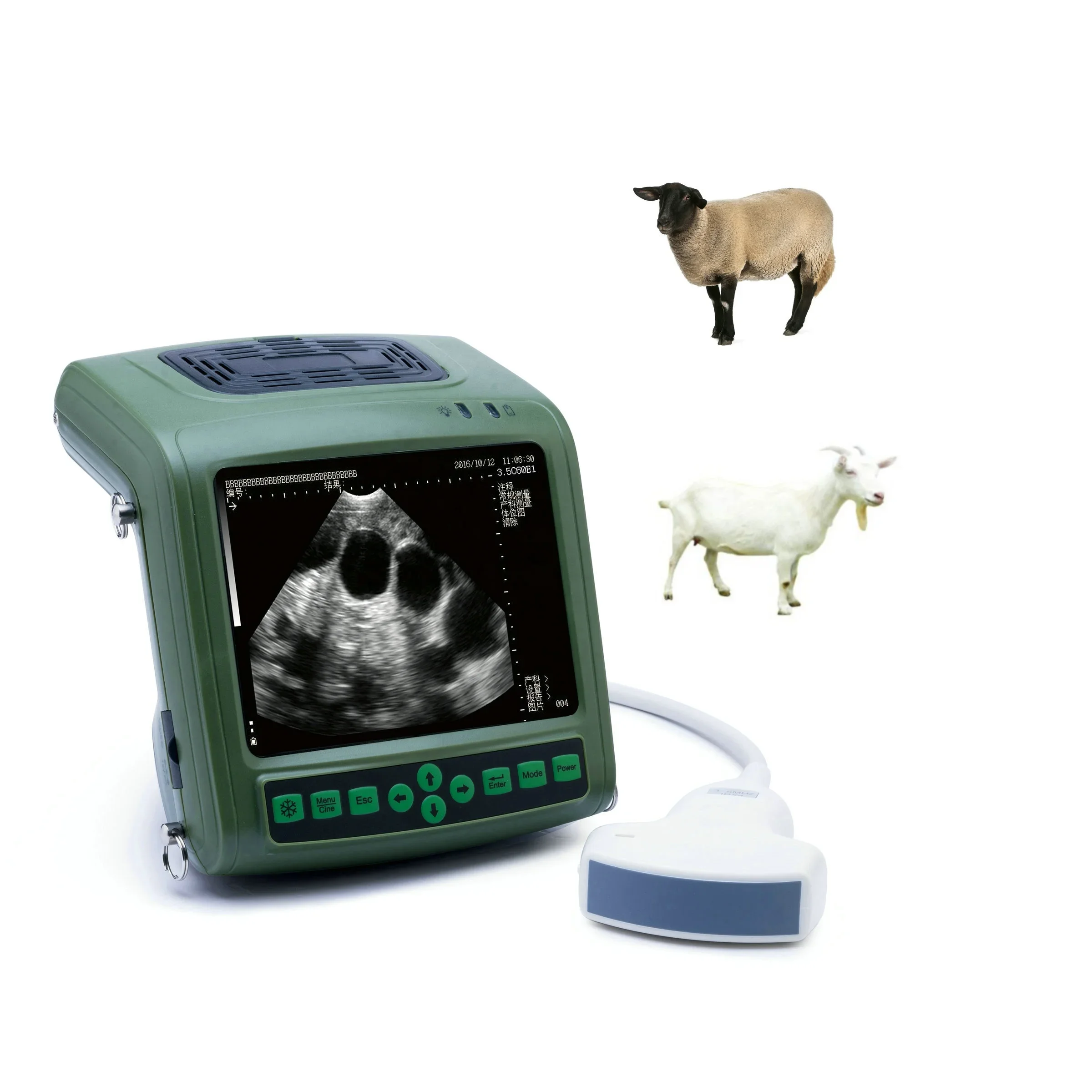 Handheld cheap portable veterinary instrument ultrasound probe pig pregnancy ultrasound scanner