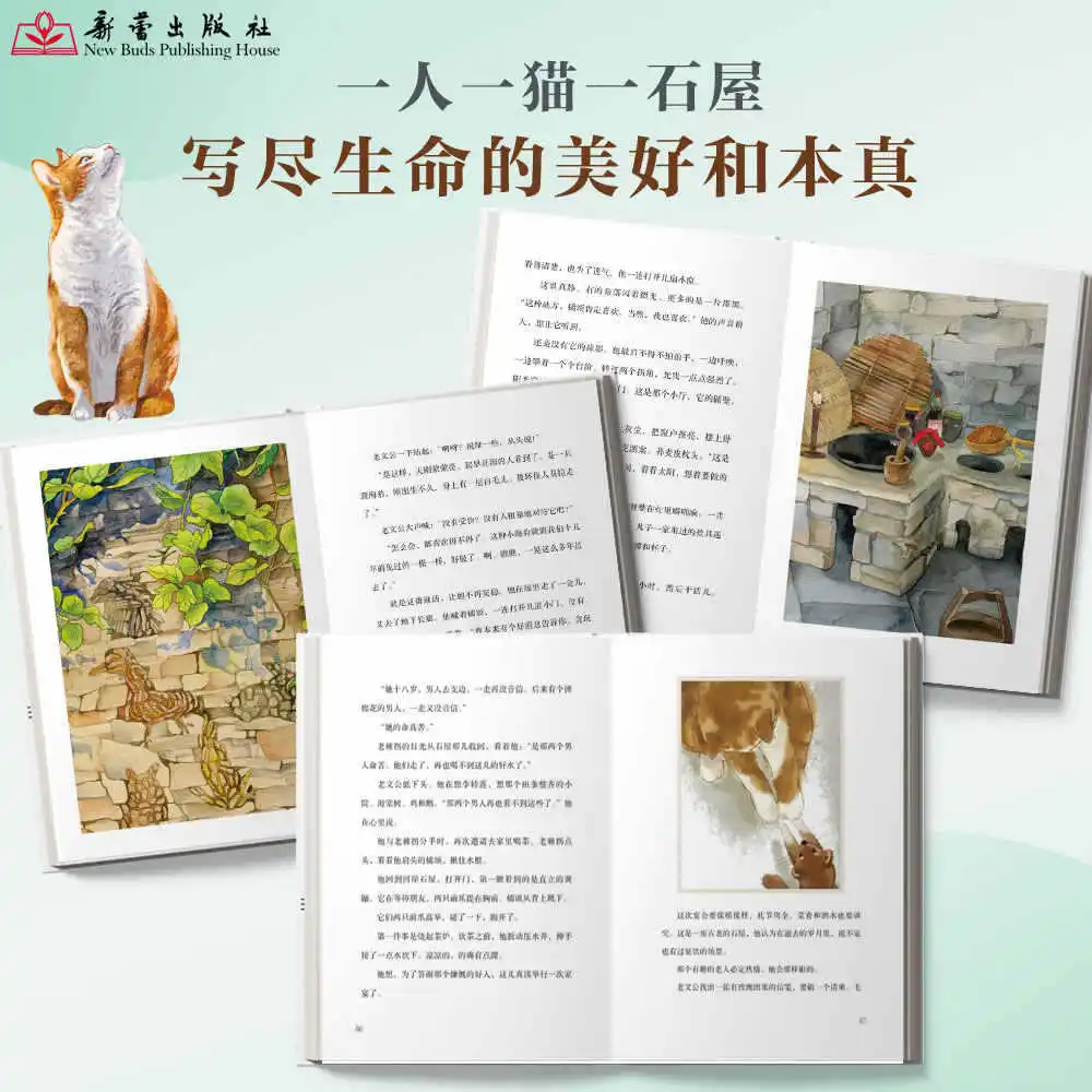 «Ju Song», надпись Чжан Вэй, произведения литературы контраатизации, история спешиния на природу и весну