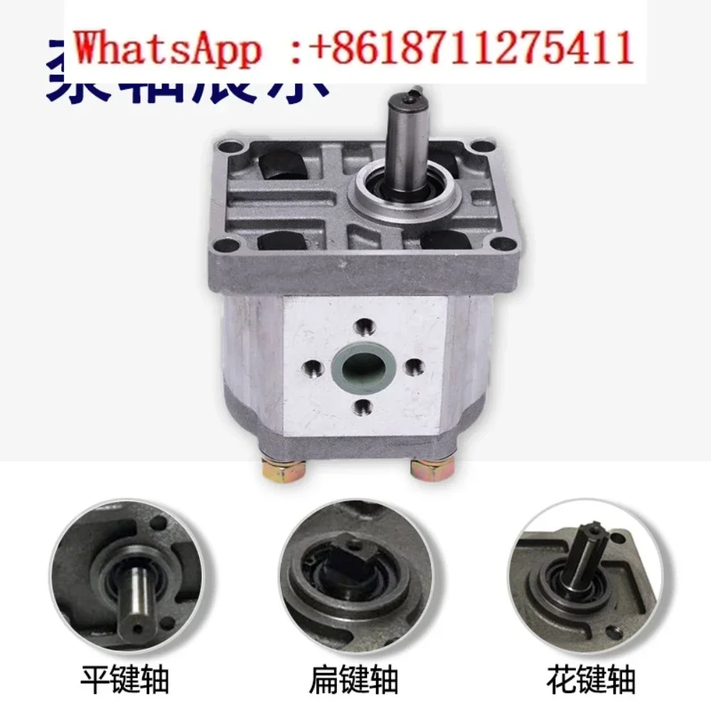 

Shearing machine hydraulic oil pump high pressure gear pump CBN-F304 306 310 316 320 hydraulic head assembly