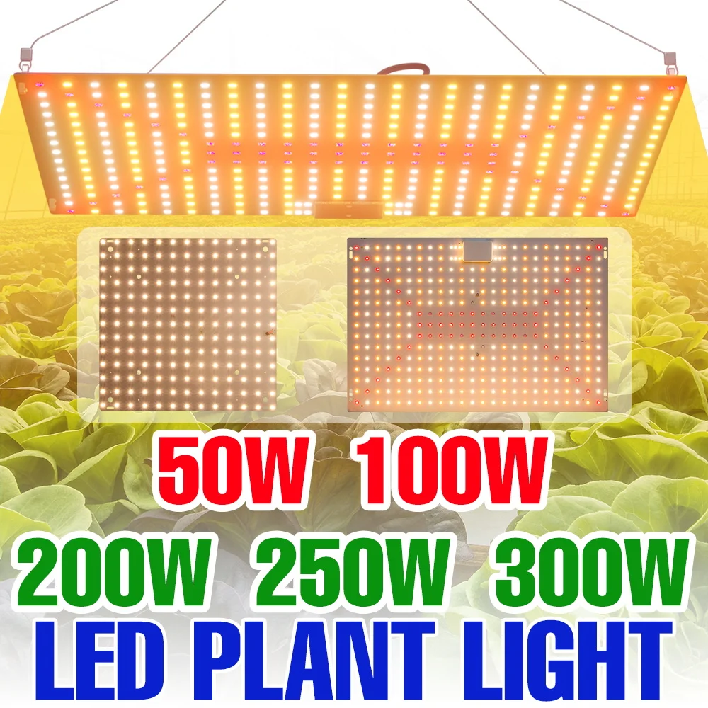 

300W LED Full Spectrum Grow Light Quantum Board Plant Cultivation Lamp Greenhouse Tent Flowers Potted Fruit Vegs Fill Lighing
