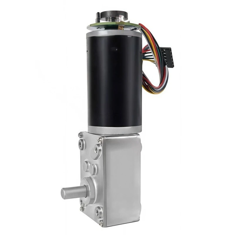 Worm Gear Worm Wheel Encoder Motor 5840-36ZY, High-torque Right-angle Motor 12V/24V