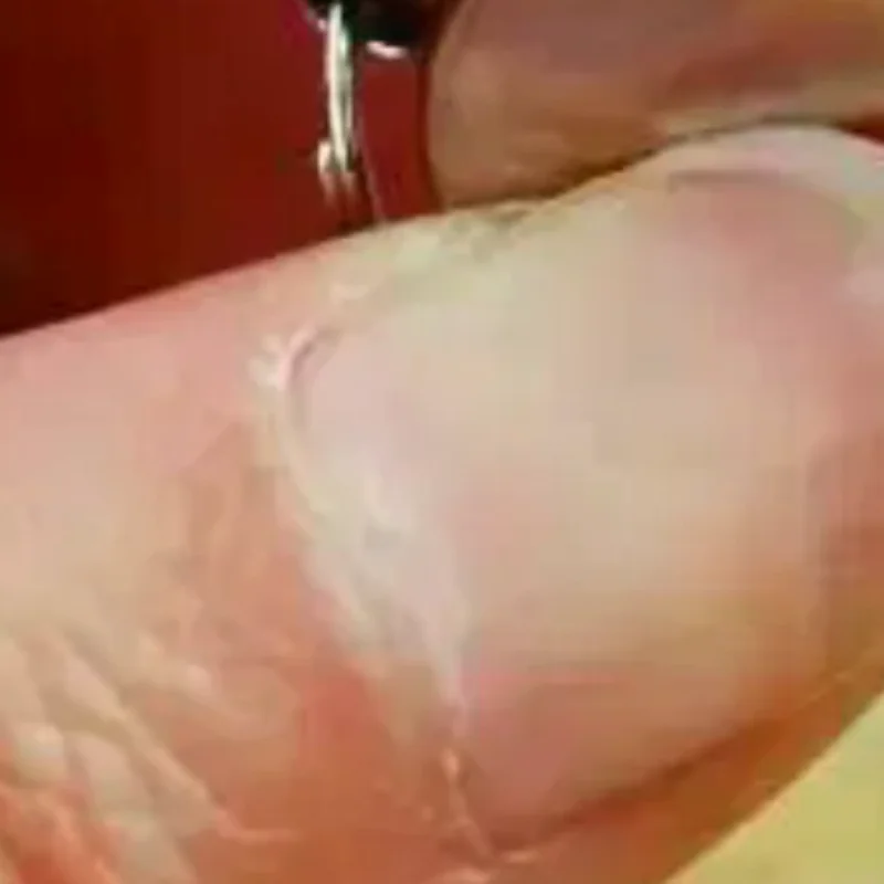 

2Pcs Stainless Steel Whistle With Lanyard Outdoor Sports Whistle Super Loud Emergency Survival Whistle