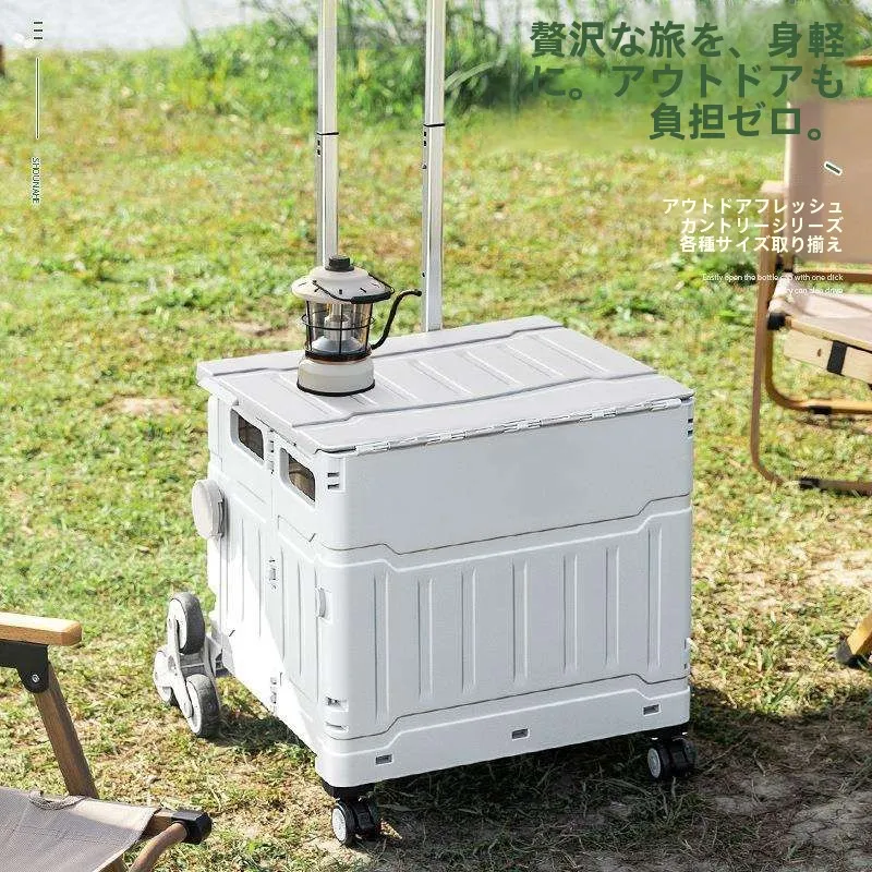 portable-home-use-shopping-cart-vegetable-buying-car-small-pulling-hand-trolley-foldable-storage-basket-plastic-material