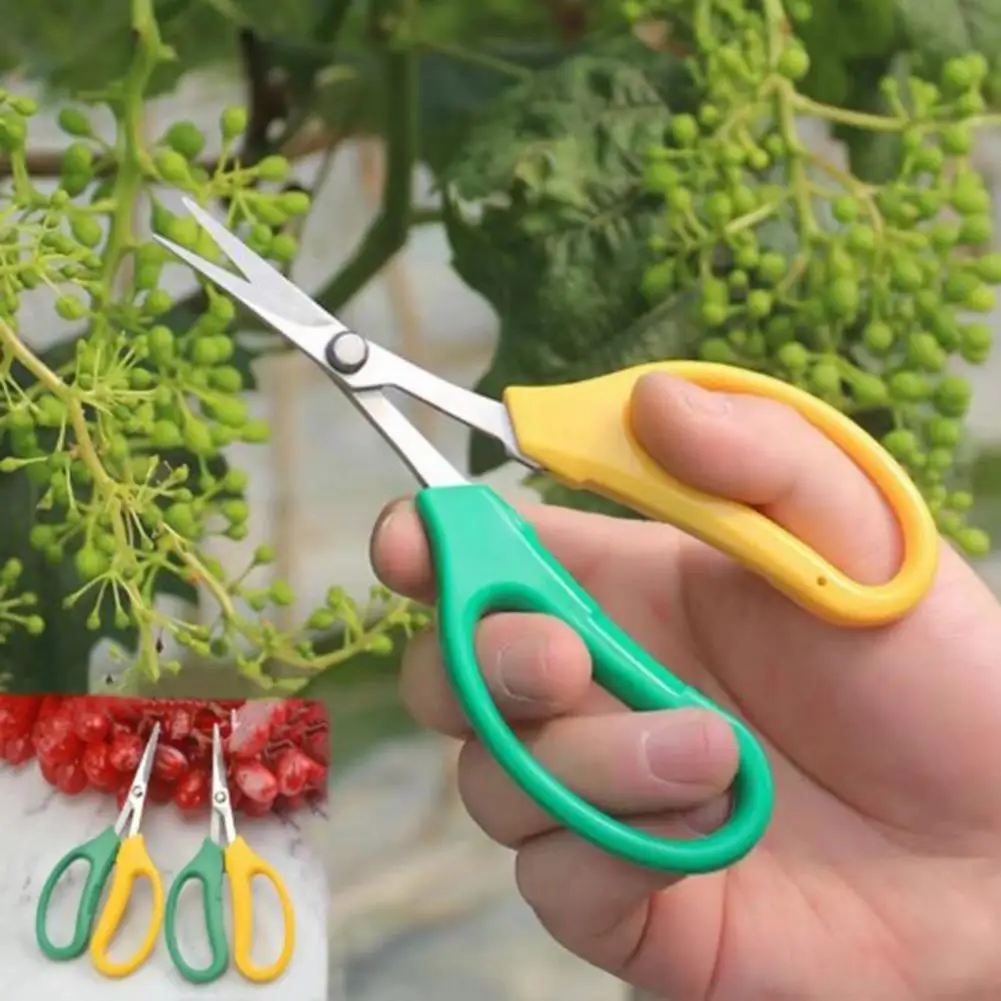 Corrosion-resistant Garden Tools Durable Stainless Steel Garden Shear Trimming Scissors with Soft Handle for Pruning for Precise