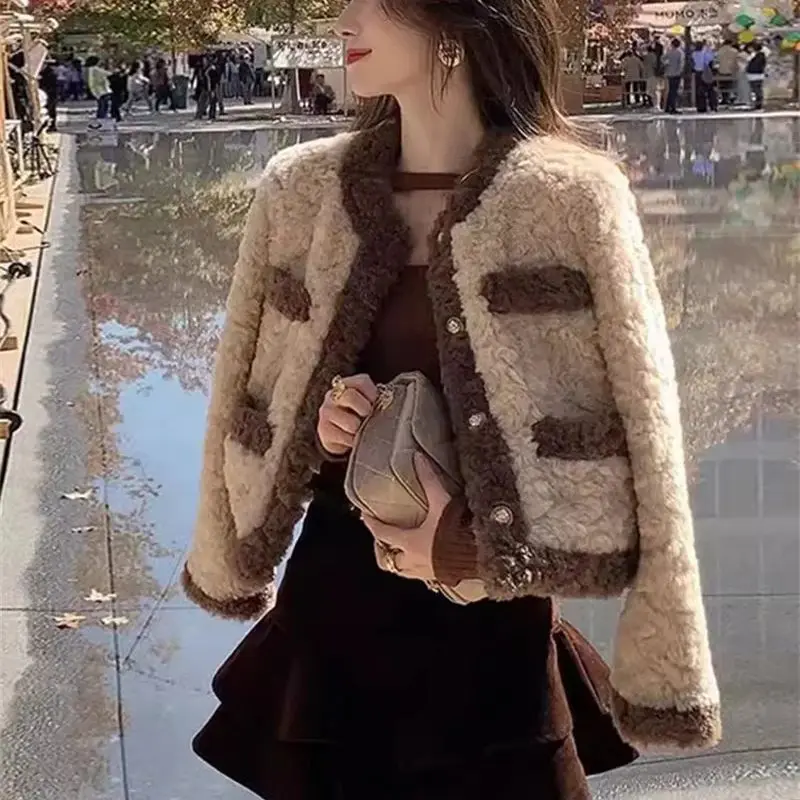 Lamb Plush Jacket for Women in Spring Autumn and Winter 2024 New Popular Items Small Stature Fragrant Style Short fur Thickened