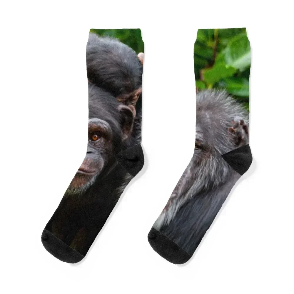 

Chimp family Socks heated winter Socks For Men Women's