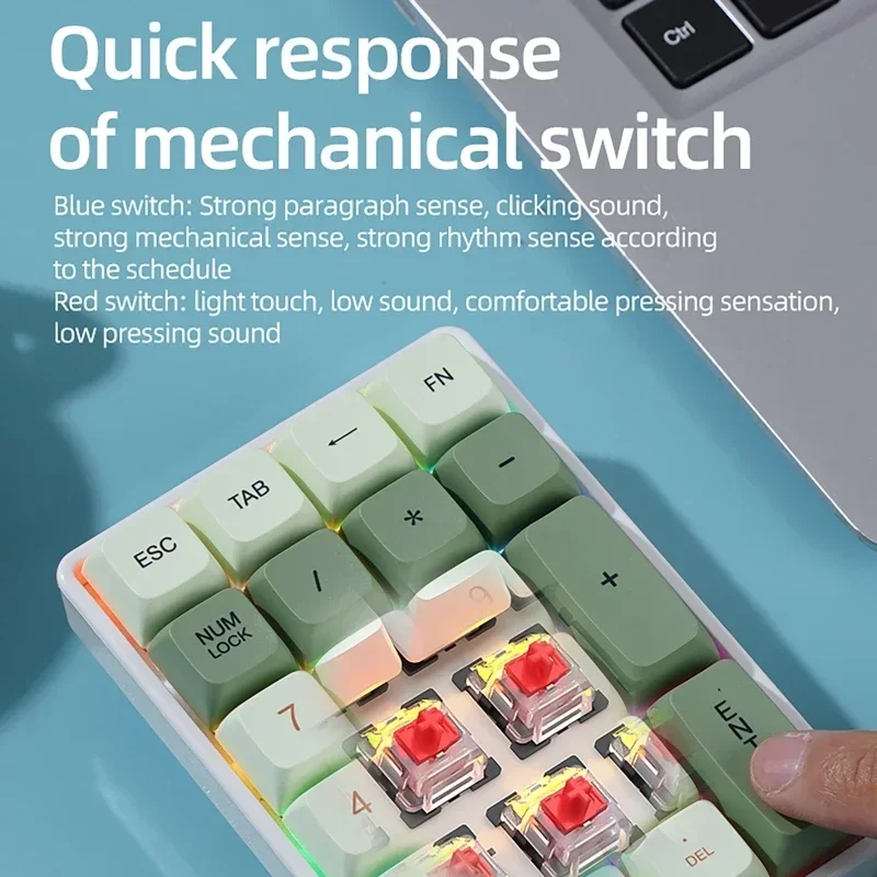21-Key Mechanical Keyboard, Bluetooth/2.4Ghz/USB-C Connection, Colourful Lighting, Full Key Hot-Swap Mini Keypad for PC Laptops