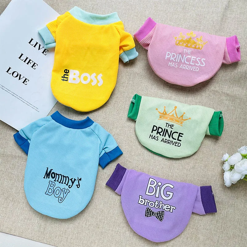 Dog Autumn and Winter Clothes Pet Pullover Sweater Candy Color Foreign and Cute Two legged Clothing Pet Handsome American Clothi