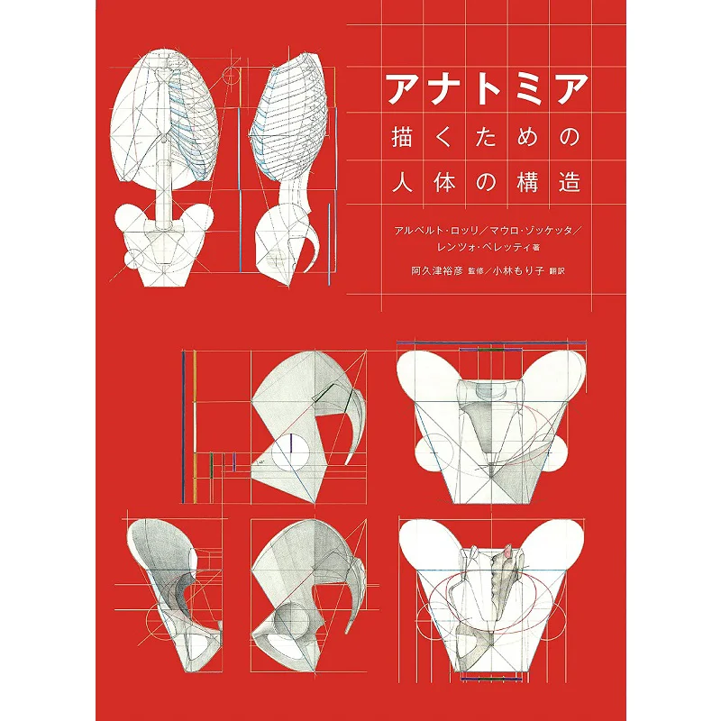 The Anatomy Of The Human Body Alberto Rolli Mauro Zocchetta Graphics Company 9784766134834 Book
