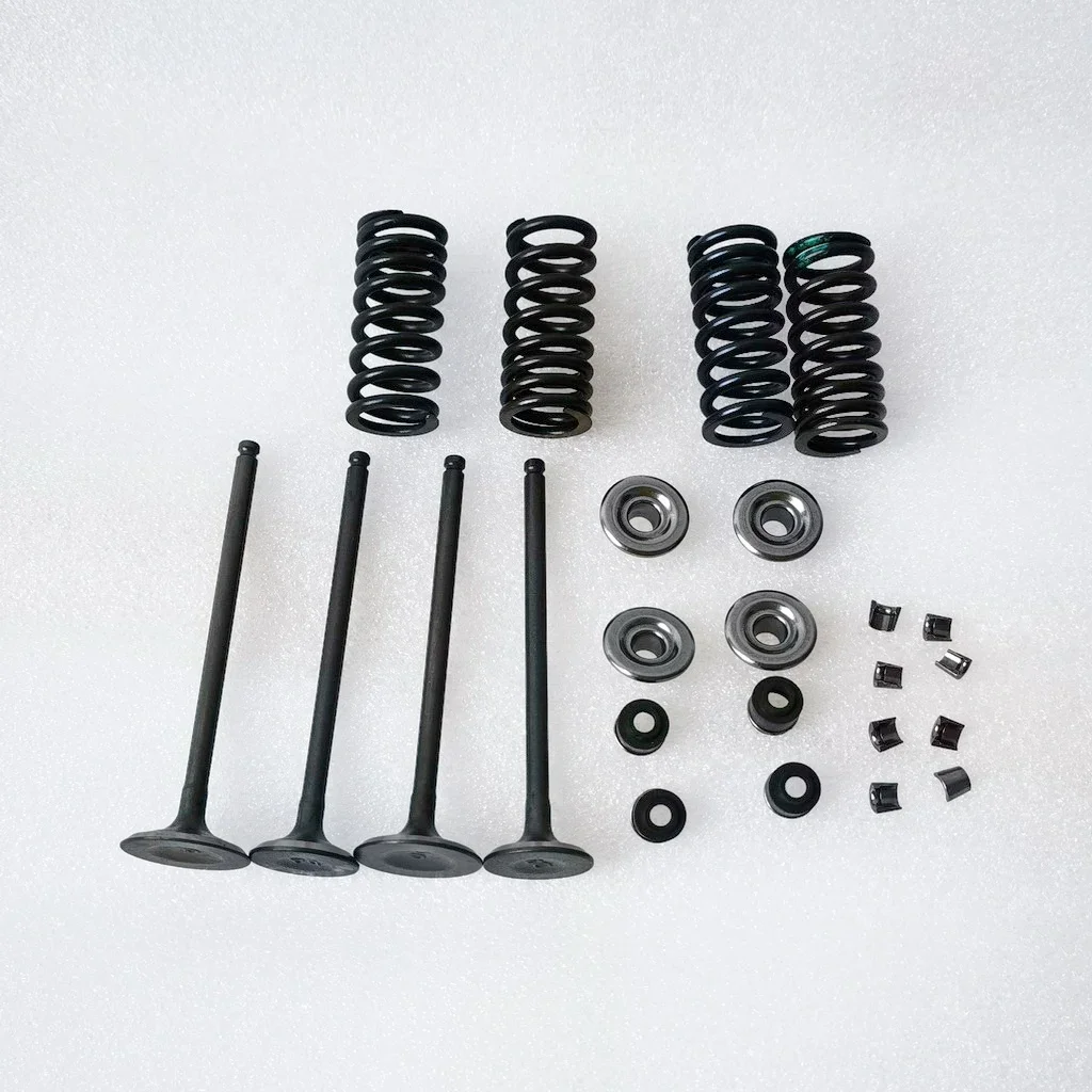 Hot Selling Valves and Spring Kit for Daytona 190 or 212 4 Valves Engines