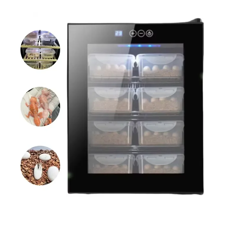Hot Sale Reptile Pet Egg Hatching Machine Egg Incubators for Reptile Snake Turtle Lizard