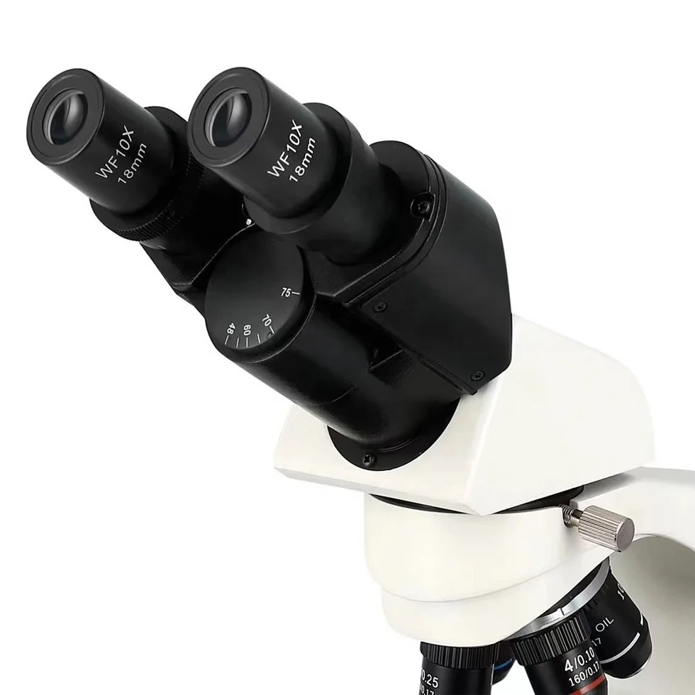 Laboratory Supply Optical Biological Binocular Microscope XSZ-BK2003 For Analyzing Biology Bacteria