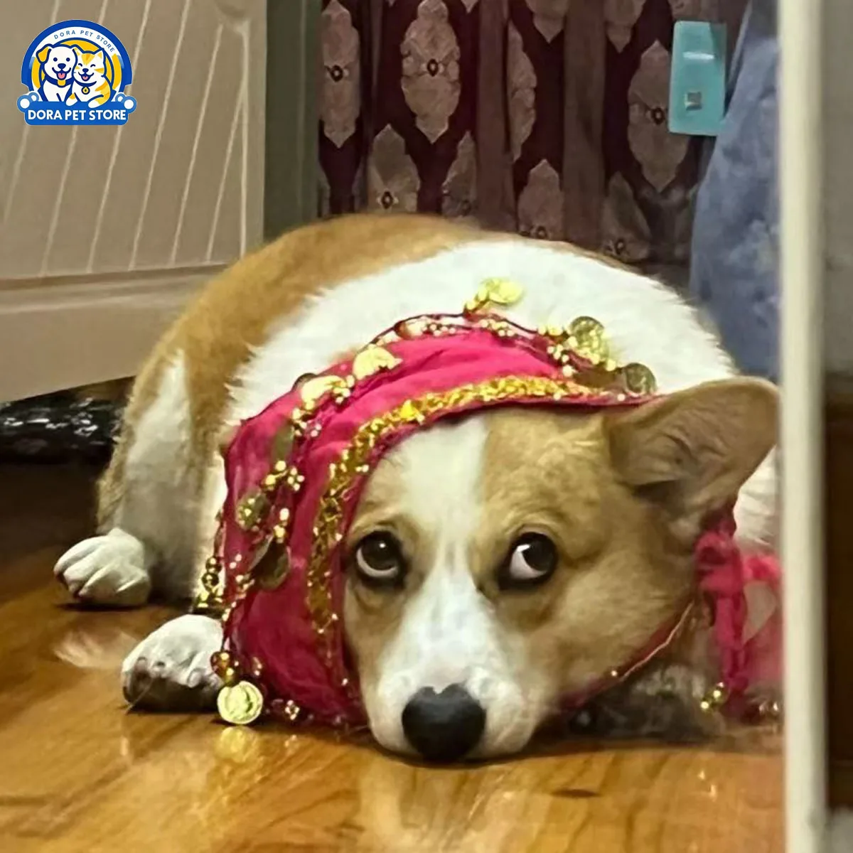 Corgi Tari Perut Rantai Kentut Payet Rantai Pinggang Antusias Anjing Seksi Butt Shake Tari Syal Pinggul Dekorasi