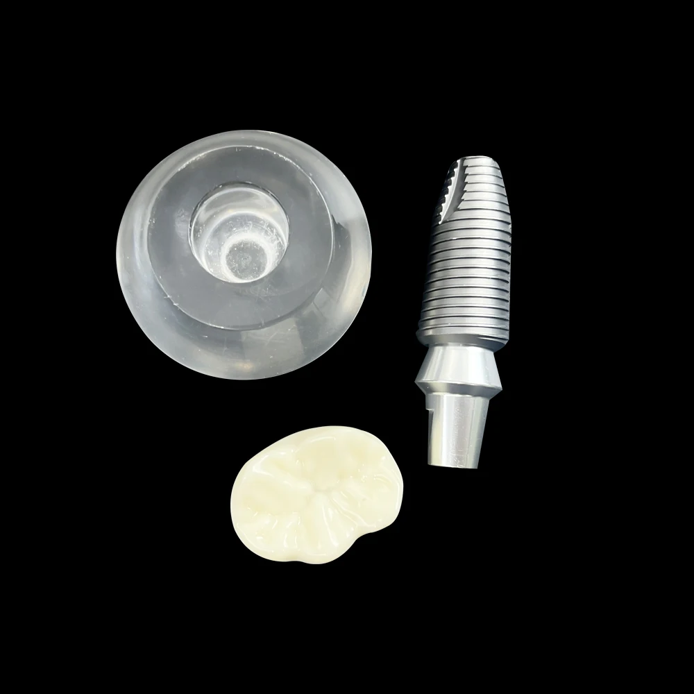 Model z pojedynczą koroną zębów odłączany Model implantu demonstracyjnego stomatologia kryształowa uczyć modelu badania dla klinik dentystycznych