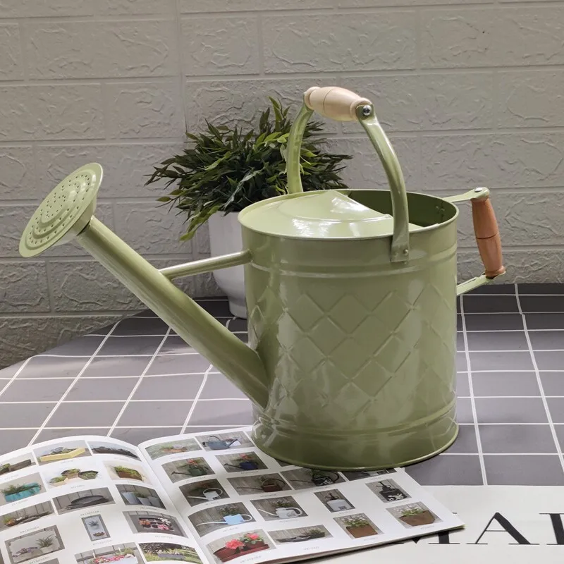Dual-purpose iron watering kettle Watering flowers Household vegetable growing flowers Large watering pot Large capacity