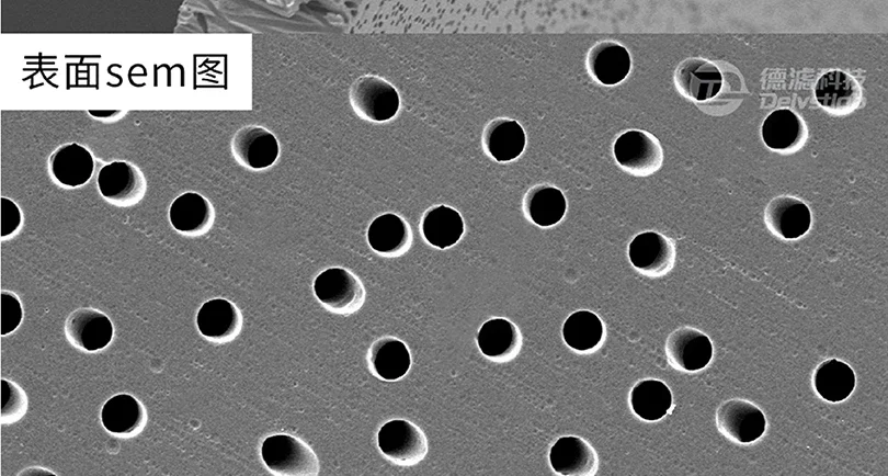 Polycarbonate nanofiltration membranes: diameter etching, nuclear pore filtration membranes, liposome extrusion, cell migration