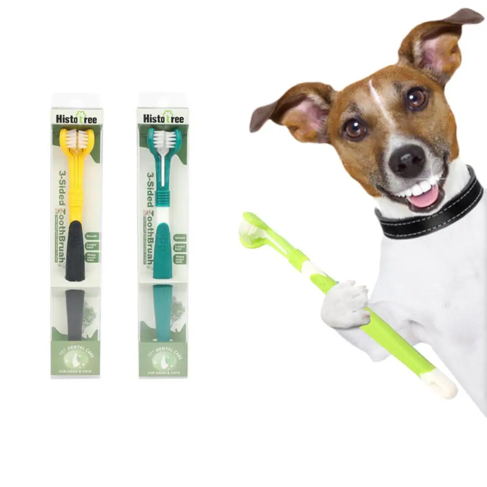 Toothbrush For Dog Stone Removal Plastic Polychromatic Three Sided Pet Toothbrush Three-head Toothbrush Durable