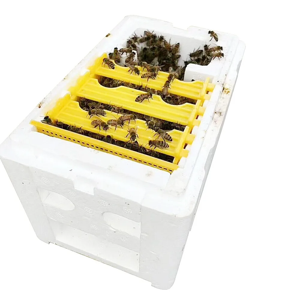 1 Pc Queen Bee Breeding Box Beehive Frame Stand strumenti per l\'apicoltura schiuma alveare giardino scatola per l\'impermeazione delle api forniture