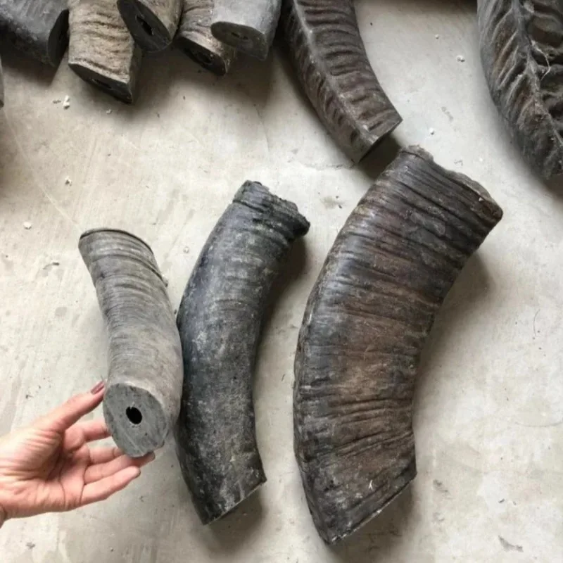 Natural Black Buffalo Horn Hollow Material Thick Cow Horn Comb Material Black Buffalo Horn Cut Off Hollow Ink Bucket