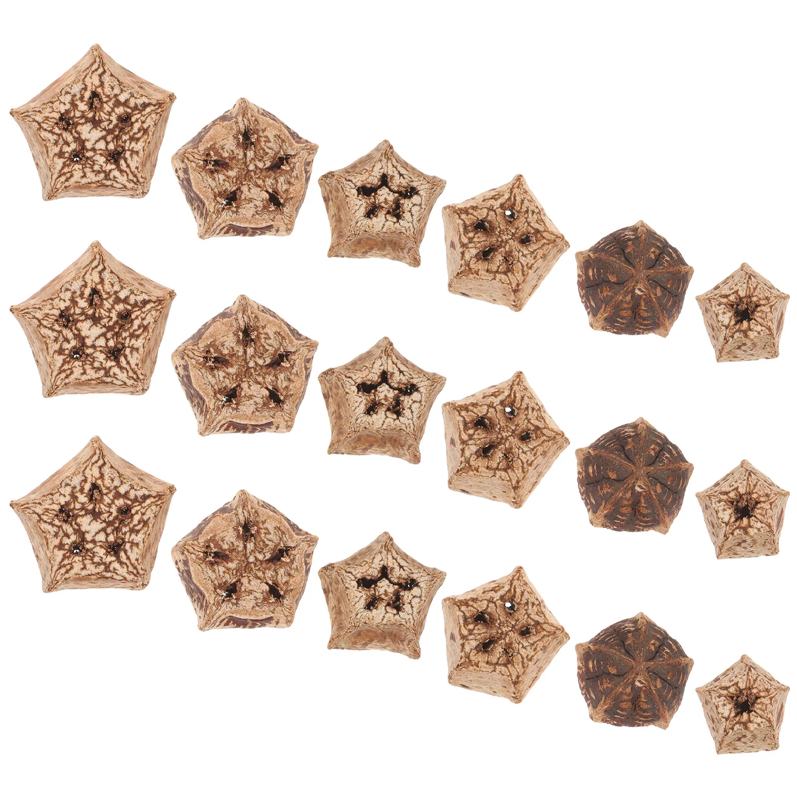 

12Pcs Natural Parrot Chewing Supplies Biting Fun Shredding Foraging Accessories for Birds Bird Toys for Parakeets