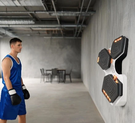 Other Boxing Training Products Portable Fighting Wall Mounted Boxing Target Smart Music Boxing Machine