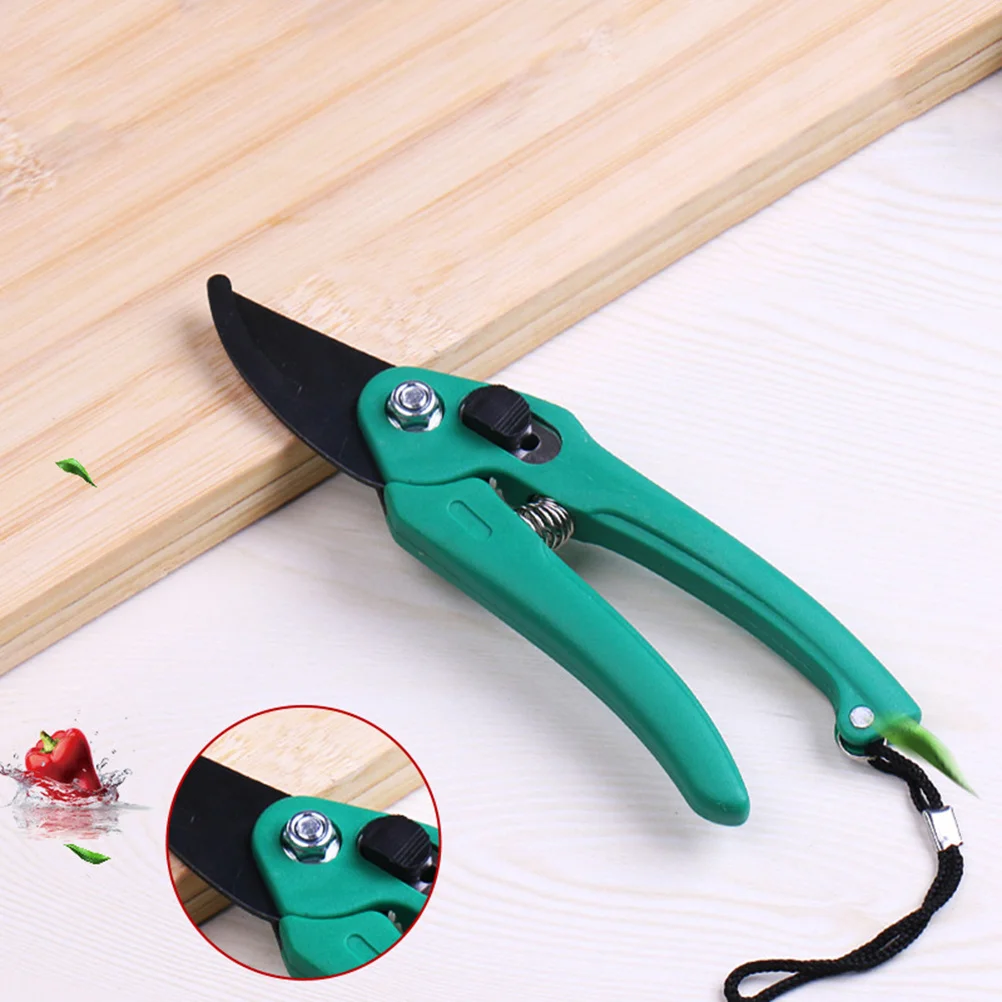 

Pruning Shears Green Black Tin Twin Blade Garden Tool For Goat Hoof Alpaca Nail Trimming Household Trimming Tool With Rope