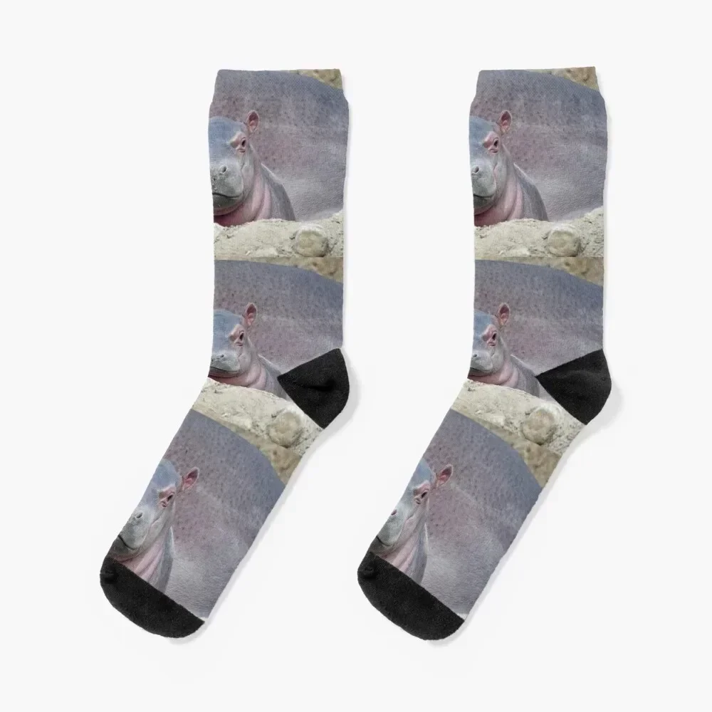 

Baby Hippo Fritz at the Cincinnati Zoo Socks with print luxury Men Socks Women's