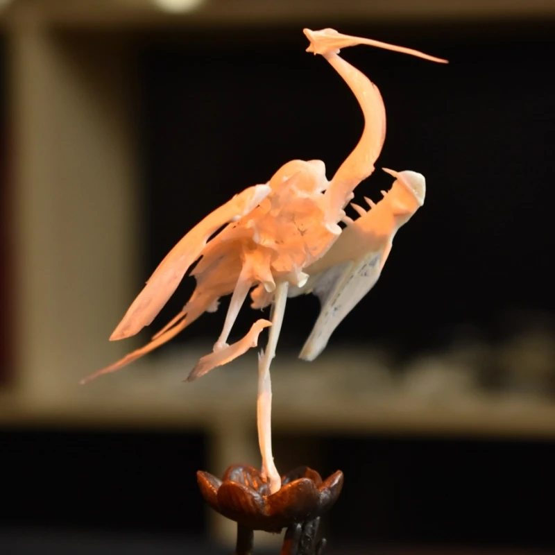 2008 Original Fish Bone Bird Tabletop Ornaments Gothic Style Real Bone Bone Specimen Decorations Birthday Gifts Creative