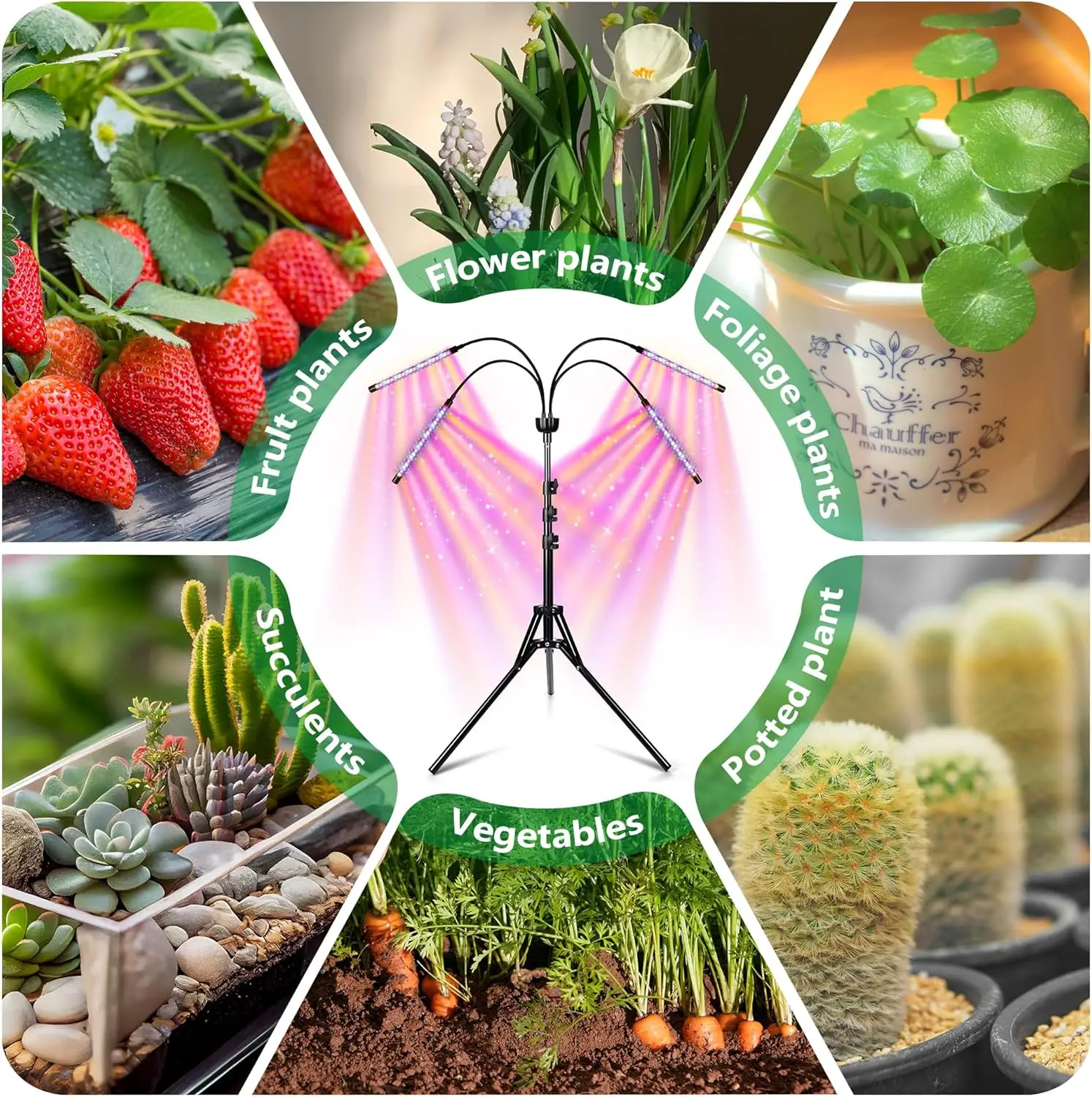 Grow Lights for Indoor Plants,Full Spectrum LED Grow Light Floor Lamp with Stand Adjustable Height and Angle,with 4/8/12H Timer