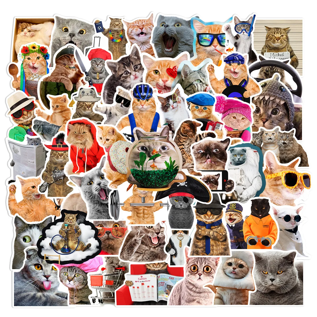 

10/30/66PCS Funny Cute Cat MEME Stickers DIY Phone Luggage Skateboard Guitar Car Waterproof Decoration Animal Sticker Kids Toy