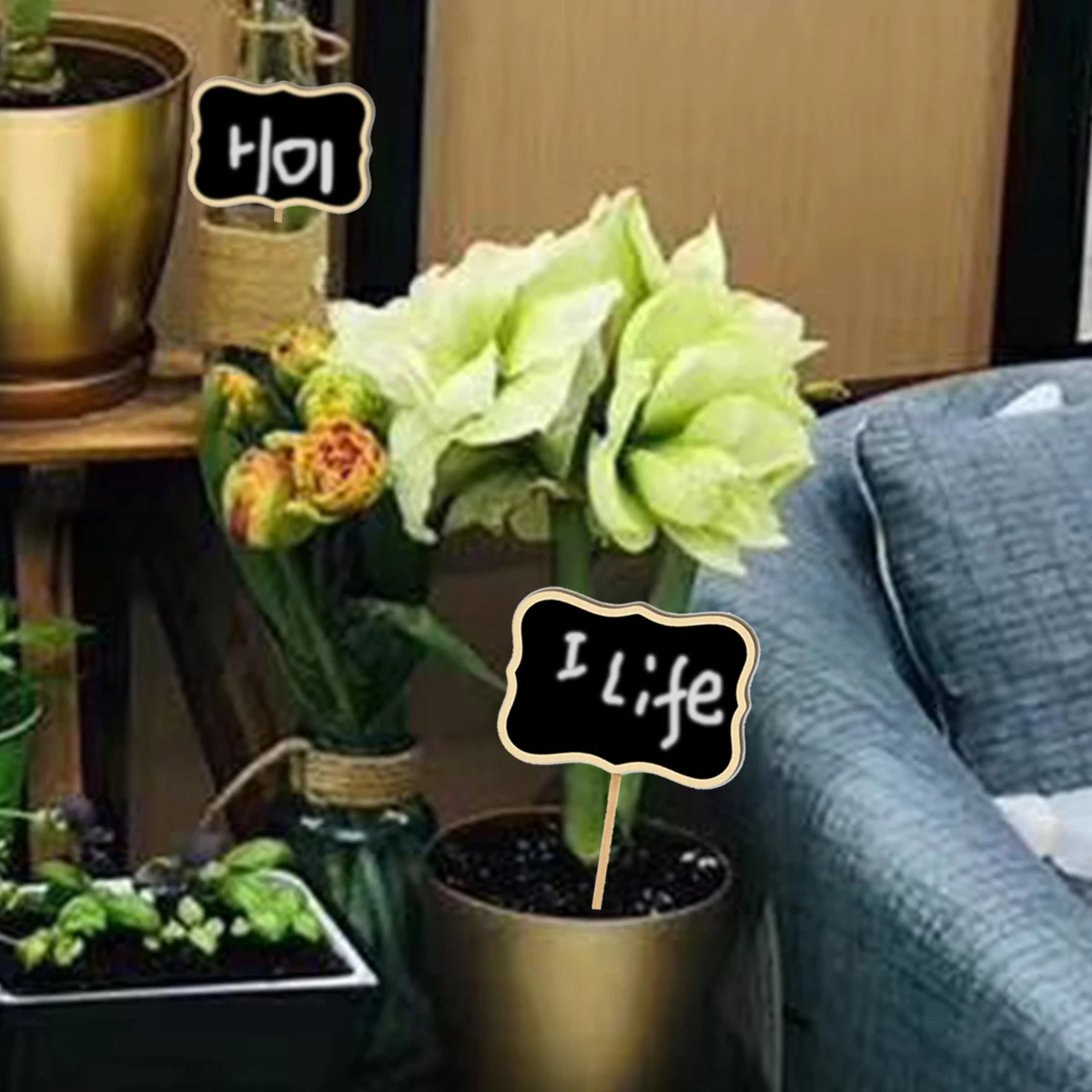 

20pcs Mini Erasable Garden Flower Labels Blackboard Signs Flower Plants Tags Garden Mini Chalkboard Toppers Labels Wood Craft