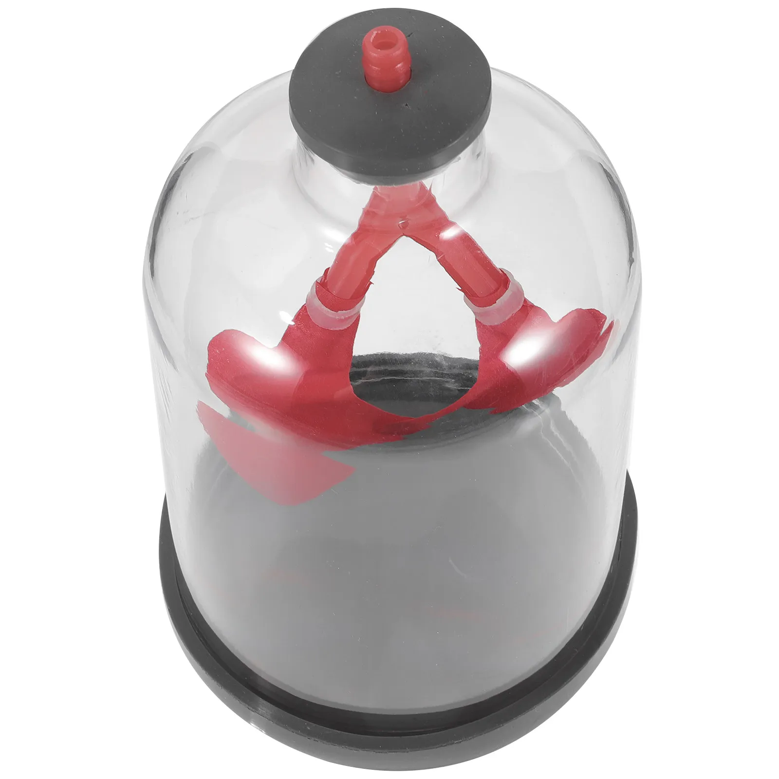 

Lung Breathing Educational Demonstration Teaching Aid Human Respiratory Function Visual Science Learning Aid Teaching