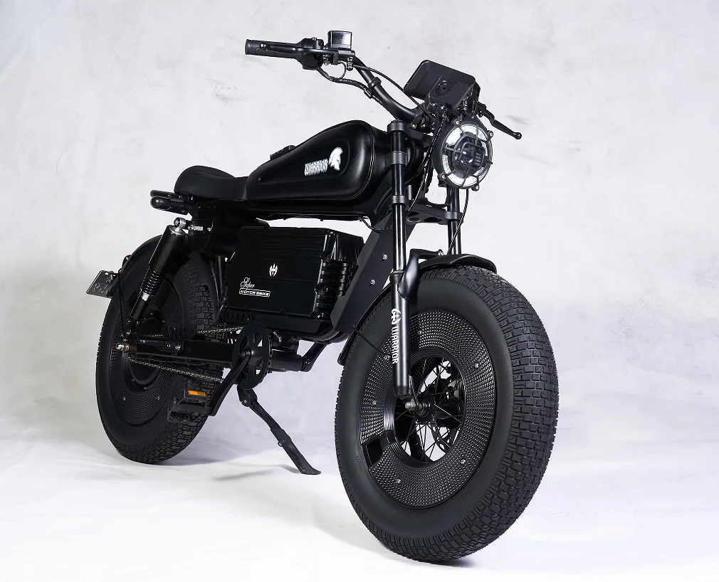 

Electric Bike 1000W 48V 30AH 58AH Fat Tire Ebike Electric Bicycle Mountain Snow City E-Bike