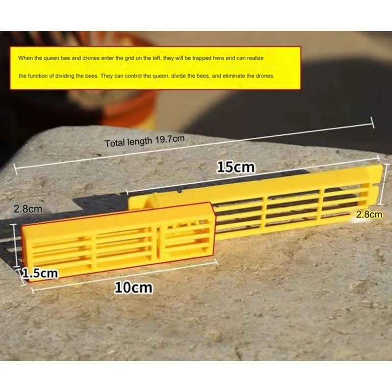 Puerta de entrada de reina de abeja pequeña, reductor Anti volador, colmena de porche más cerca, también uso para liberación de Colonia de enjambre, Dron de abeja de diseño