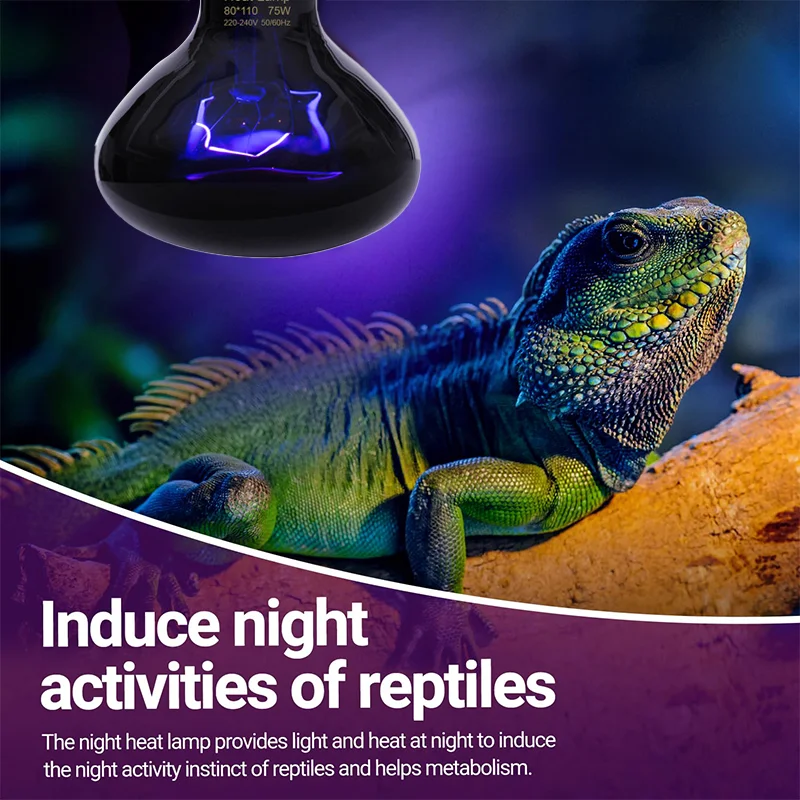 

Infrared Heating Lamp Reptile Night Heating Light 25W-100W Simulated Moonlight Lamp Bulb Amphibians Pets Lives Stock Lamp