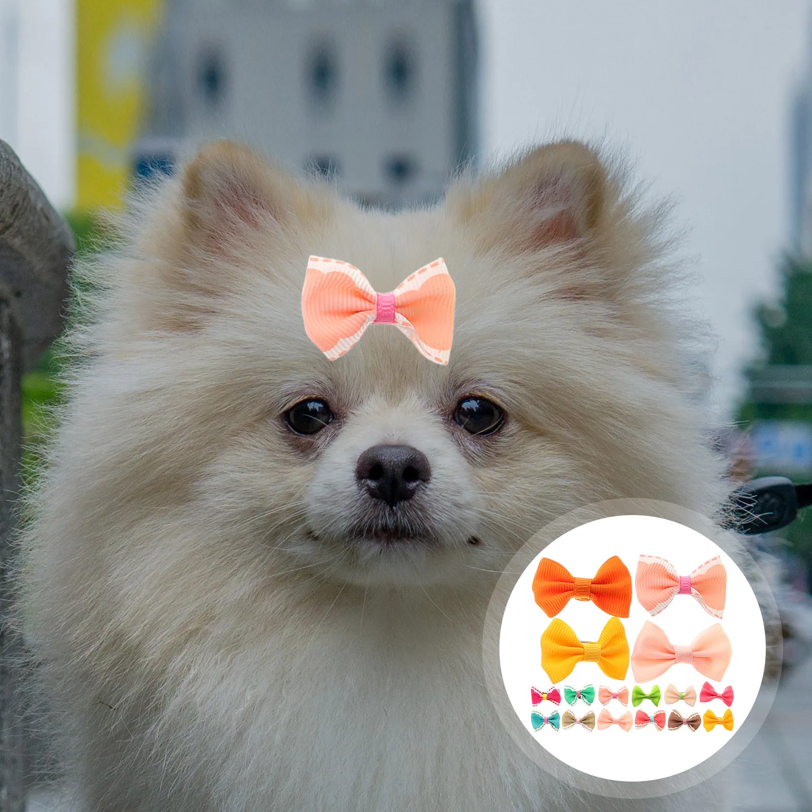 

30Pcs Dog Hair Clips Bowknot Alligator Pet Grooming Accessories Mixed Style Cute Decorative Bows for Cats Puppies