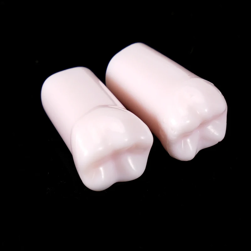 32Pcs Dental Removable Teeth Model Screw-in Replacement Simulation Teeth for Dentistry Technician Practice Training ﻿