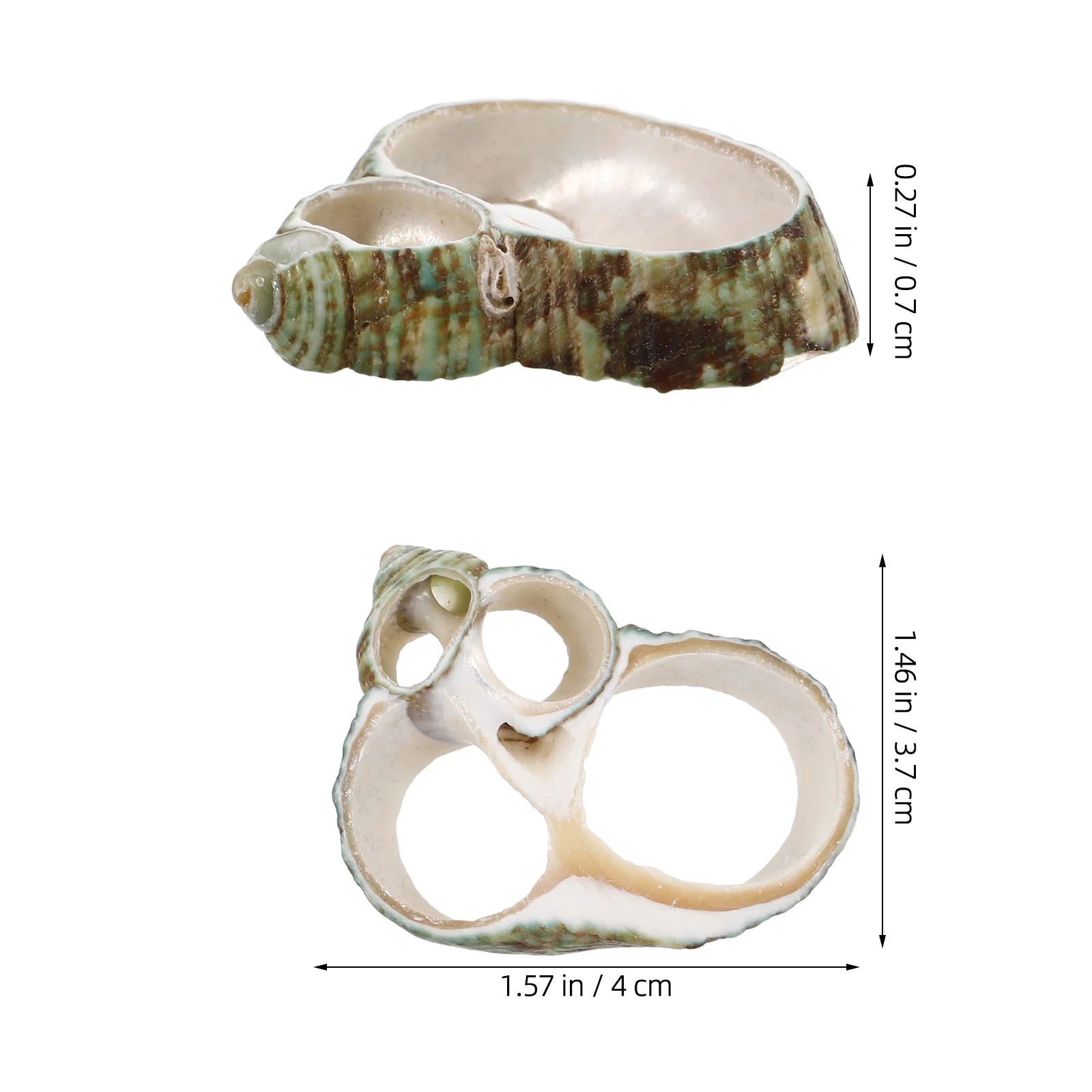 20Pcs Conch Shell Slices for DIY Crafting Jewelry Making Natural Seashells Beach Nautical Home Decoration Mixed Shell Slices