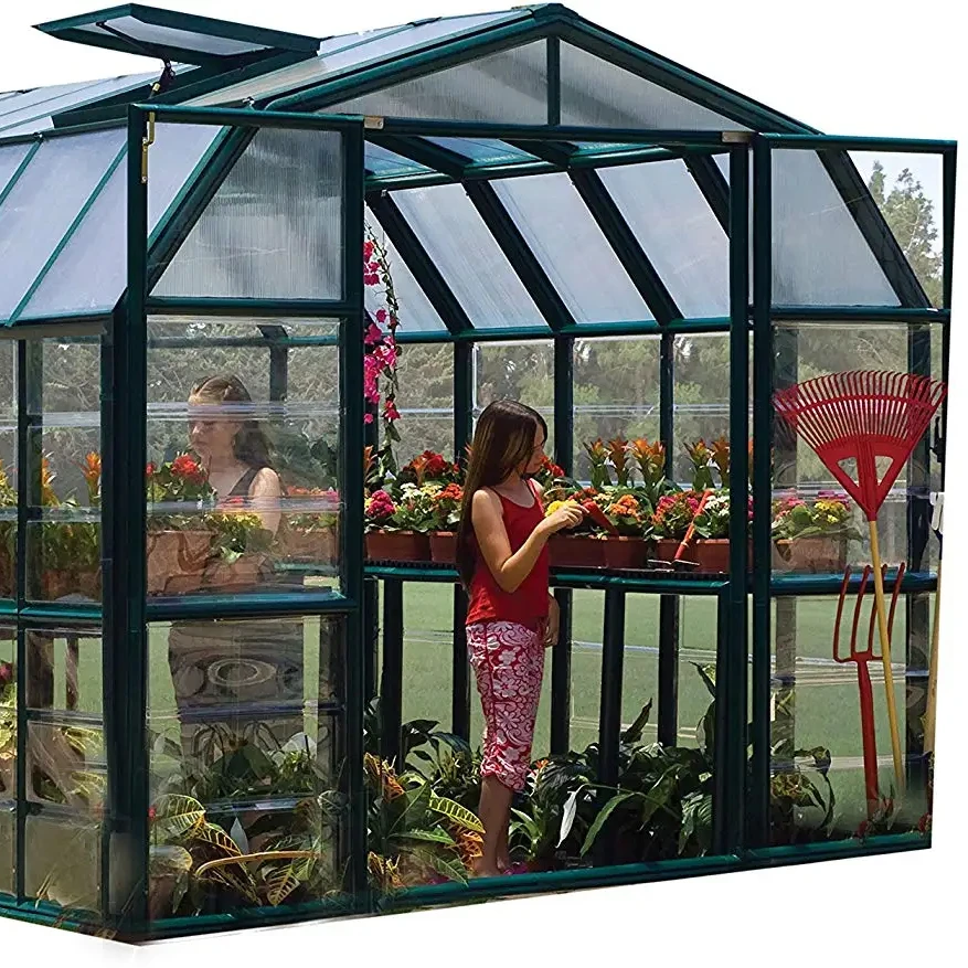 

Supplies Walk In Construction Plant Shade Portable Home Single Span Hobby Mini Greenhouse Garden Green House