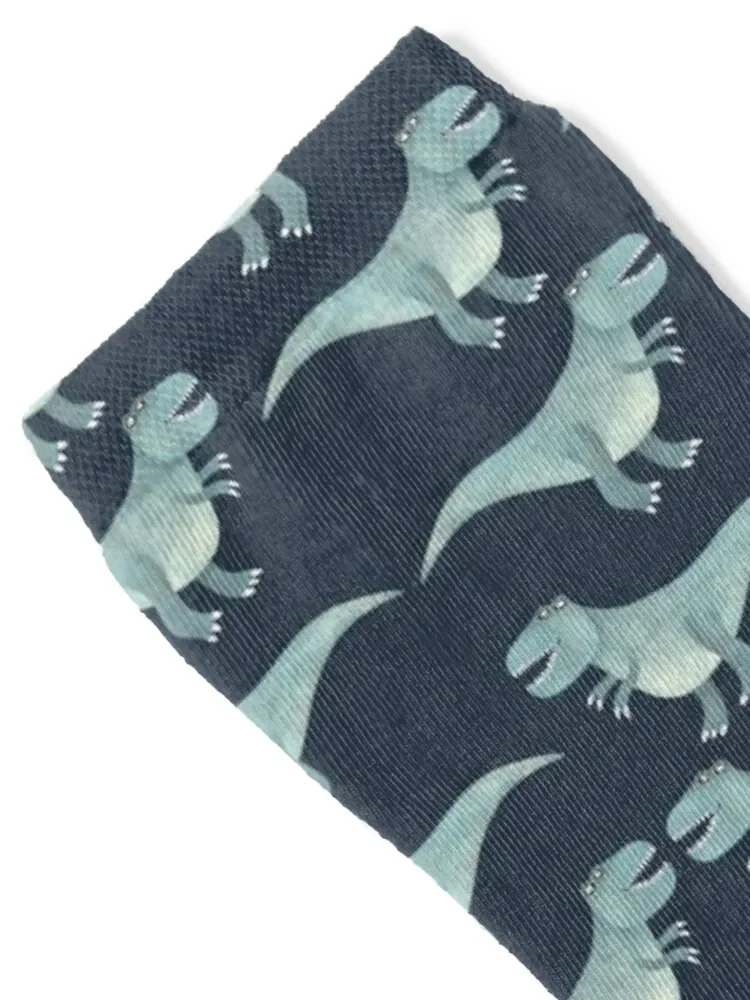 Tyrannosaurus Rex Socks happy designer brand Boy Child Socks Women's