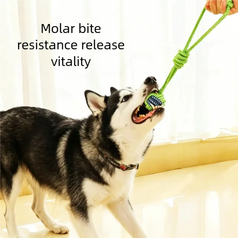 Interactive Cotton Rope Mini Dog Toys Ball for Dogs Accessories Toothbrush Chew Puppy Toy for Large Small Dogs Toy Pet Dog Toy